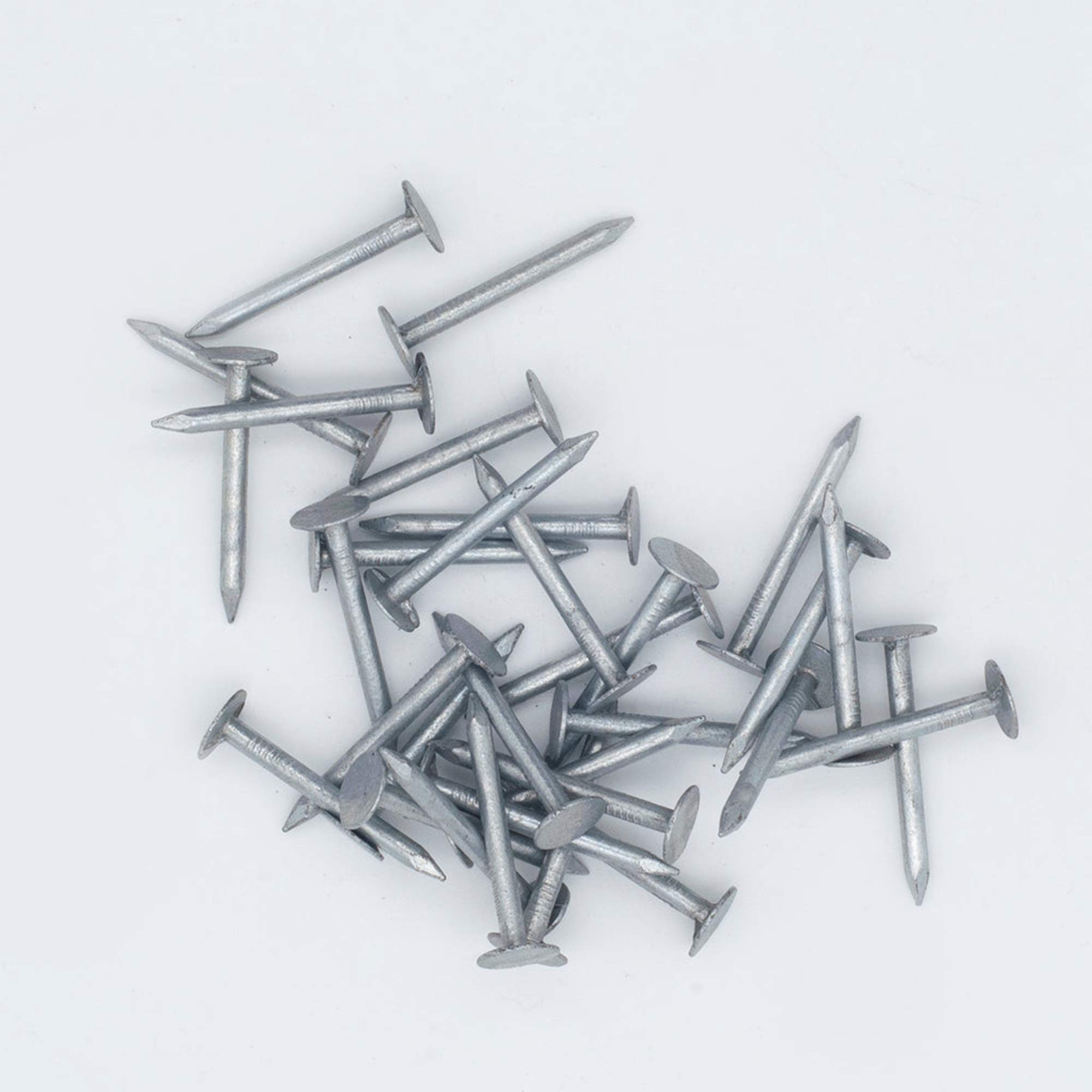 Clout nails / per Kg - Image 3