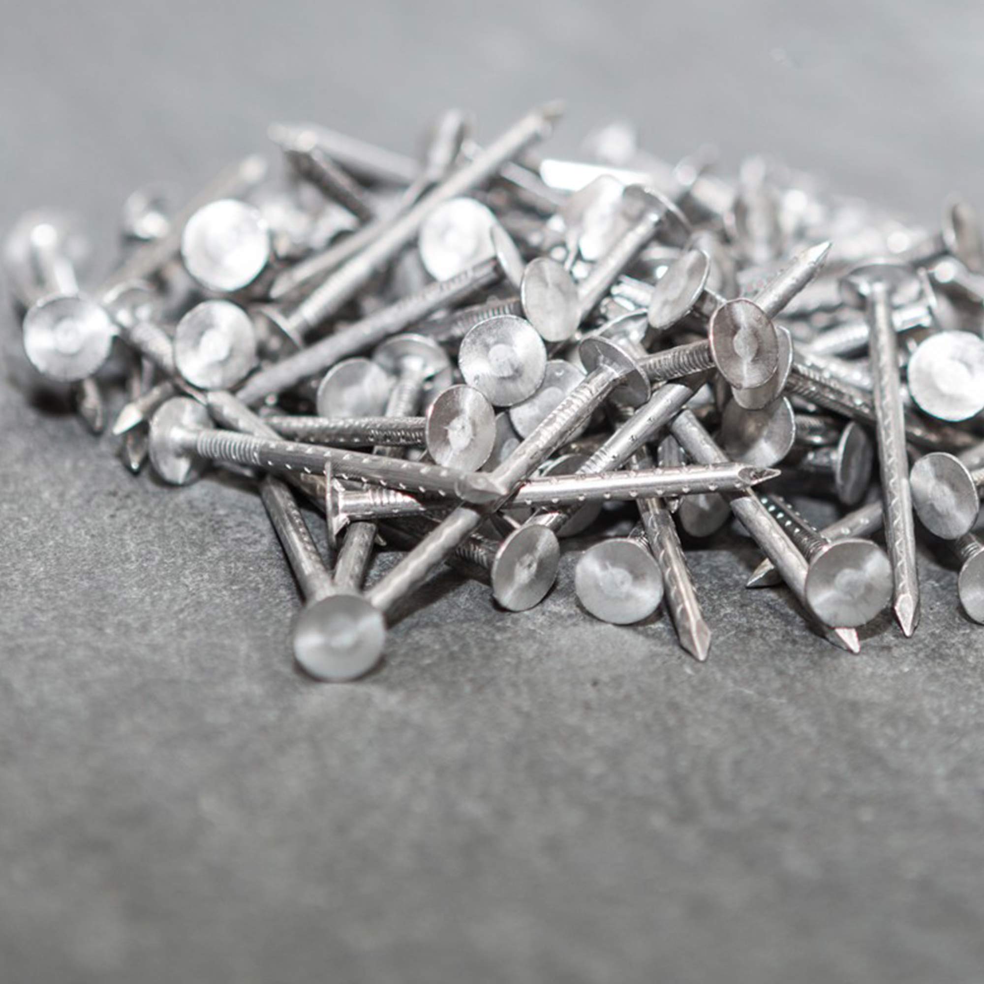Clout nails / per Kg - Image 2
